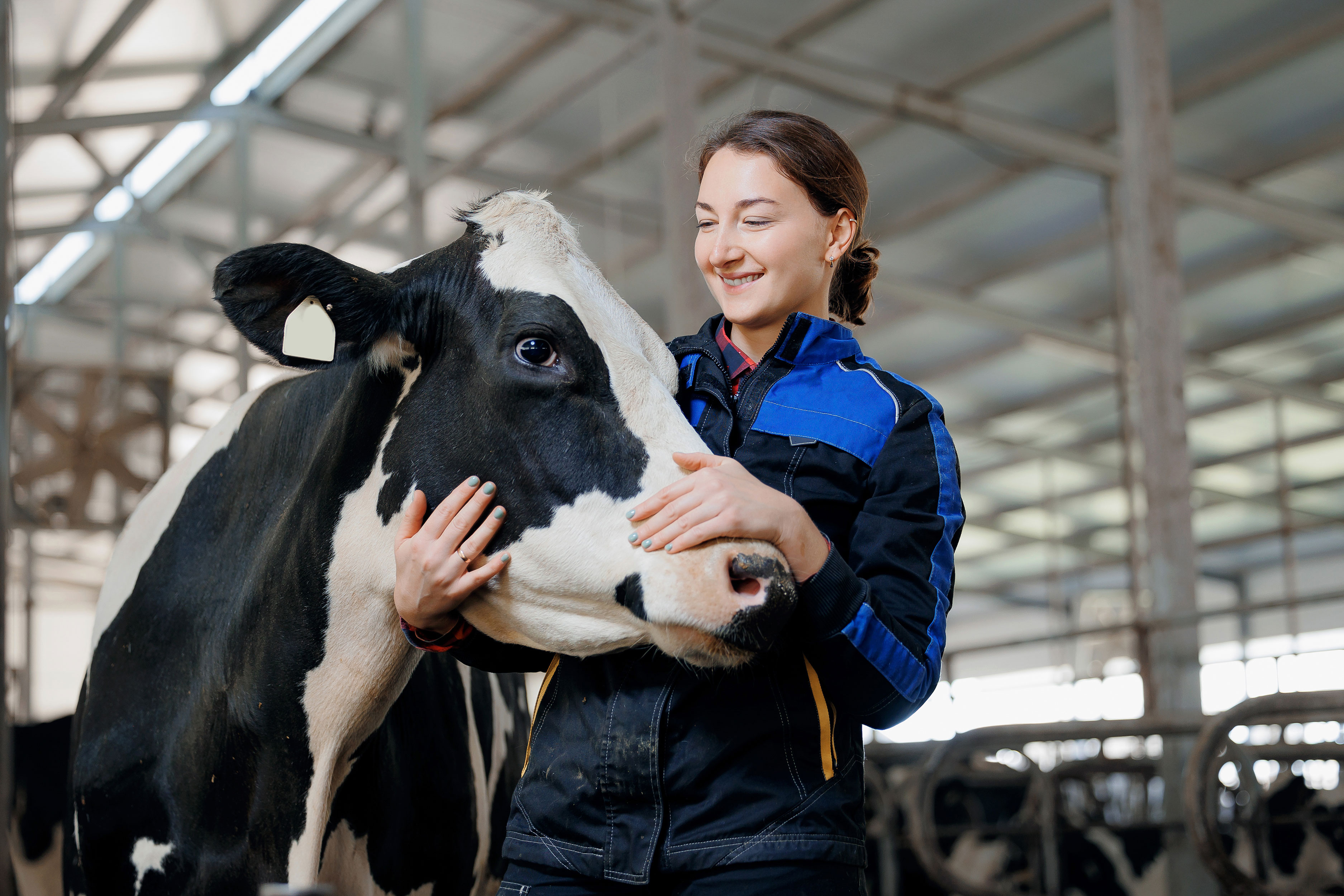 DLG TestService: Milk Elite Ribbon